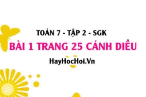 Bài 1 trang 25 Toán 7 Tập 2 Cánh Diều